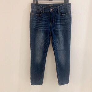 Judy Blue Dark Wash Skinny Jeans